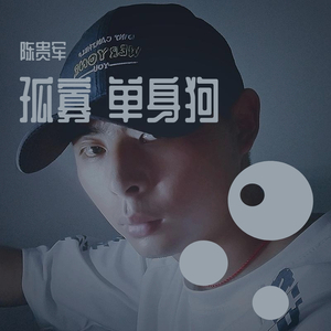 半阳-孤寡单身狗（陈贵军 remix）