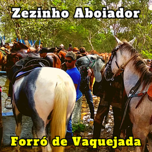 Forró de Vaquejada