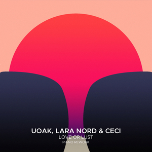 Love or Lust (Piano Rework)