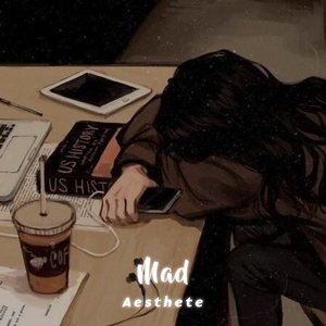 Mad (Slowed and Reverb)