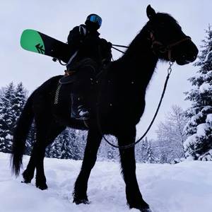 Ambition 2 (凌云志)