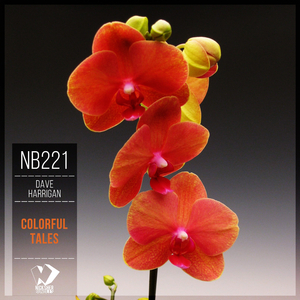 Soul Seeker (Ambient Version)