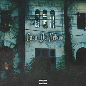 Mezu' (feat. Verigalipsa & DASH)