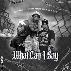 What Can I Say? (feat. Ether Da Connect, Shotgun Suge & Chelo Chelo) (Radio Edit) (Radio Edit)