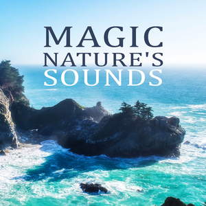 Music of the Sielence