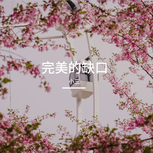 完美的缺口