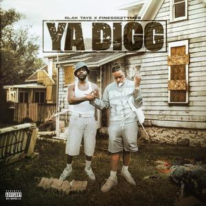 Ya Digg (feat. Finesse2tymes)
