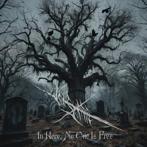 The Hawk Buried In Shade