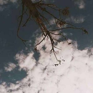 野子的独白