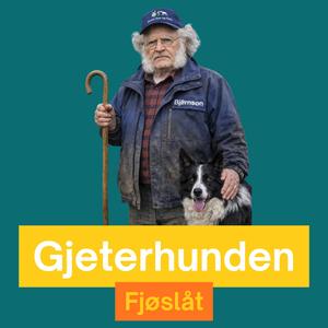 Gjeterhunden