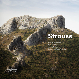 Strauss:Beautiful Blue Danube