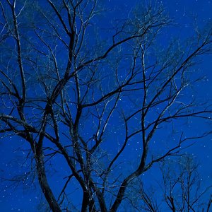 七朵组合-别辜负眼前季节（寒冬 remix）