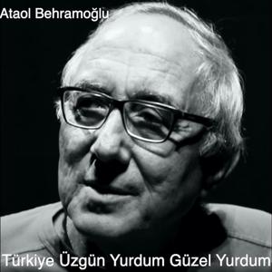 Türkiye Üzgün Yurdum