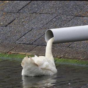 IMG_20220409_1953570