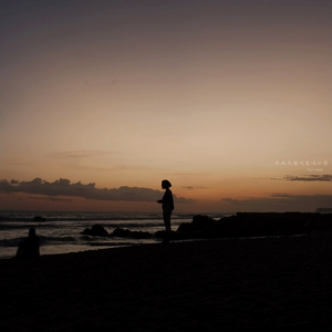 별이 내려오는 밤