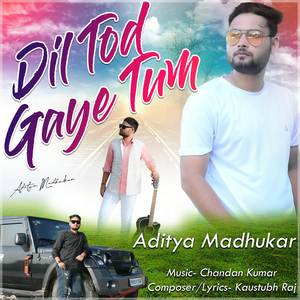 Dil Tod Gaye Tum (Hindi)