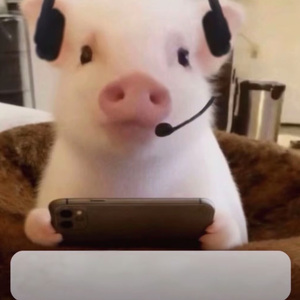 落日爱人的惬意时光