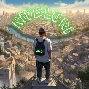 Niveluri