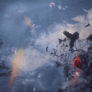 나는 어떤 새나 물고기처럼