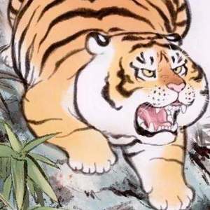 猛虎出山