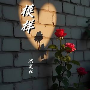 模样