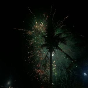 巴赫旧约~羊羊>_<翻唱