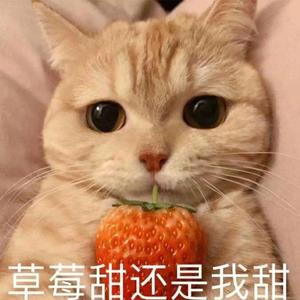 雀跃（女生版）