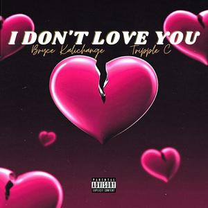 I Don't Love You (feat. Tripple C)