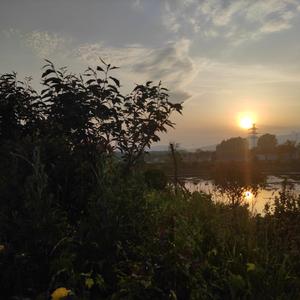 かたわれ時 黄昏之时（piano ver.）（翻自 RADWIMPS）