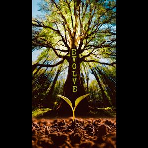 Evolve (Embrace The Change Version)