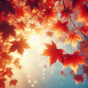 爽やかな紅葉の朝 カフェBGM 作業用