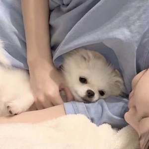 爱就一个字（翻自 张信哲）