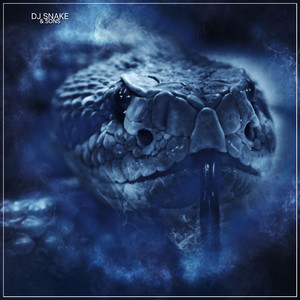 DJ Snake & Sons (Original Version)