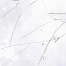 夜空中最亮的星