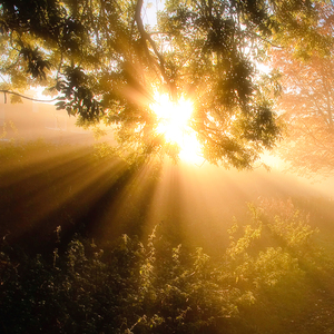 Наполнение солнечной энергией