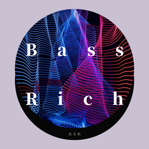 武玉航-Bass rich(Remix)