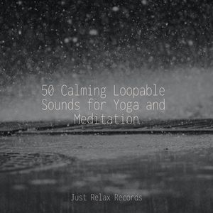 Untamed Pulse Percussion