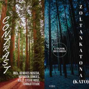 Contrast (Tonikattitude Remix)
