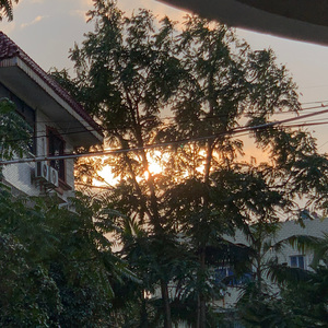 日复一日（纯音乐）