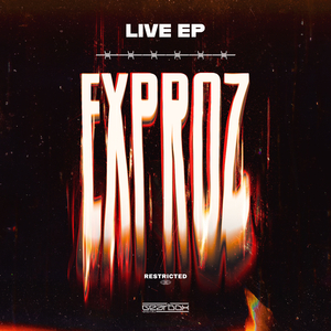 Hit 'Em (Exproz Remix) (Exproz Live Edit)