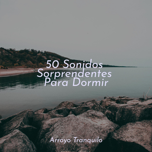 Domingos De Felicidad