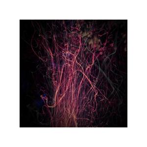 Shinra (feat. AWITW)