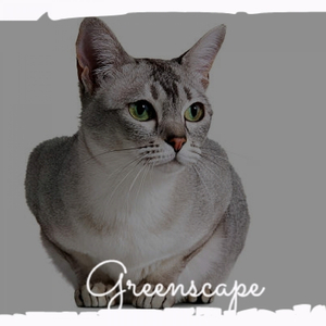 Motivational Inspiration