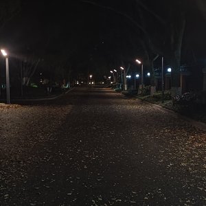 残灯风雪
