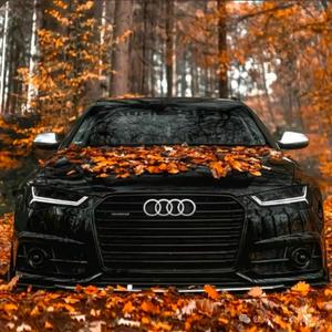 MANASHA SHREVEAL(PHONK)