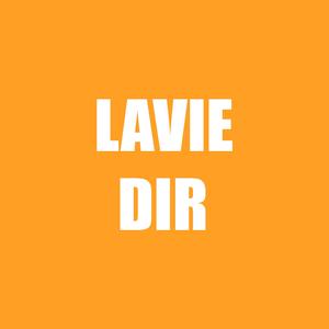 lavi dir