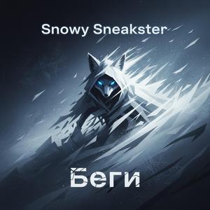 Беги за целью