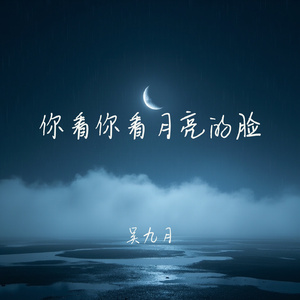 你看你看月亮的脸