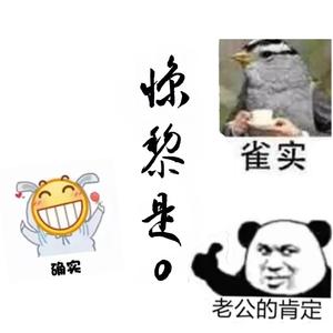 绝渡逢舟