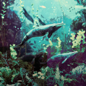 Eyes on the Deep